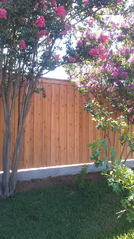 Concrete curb work for cedar fence