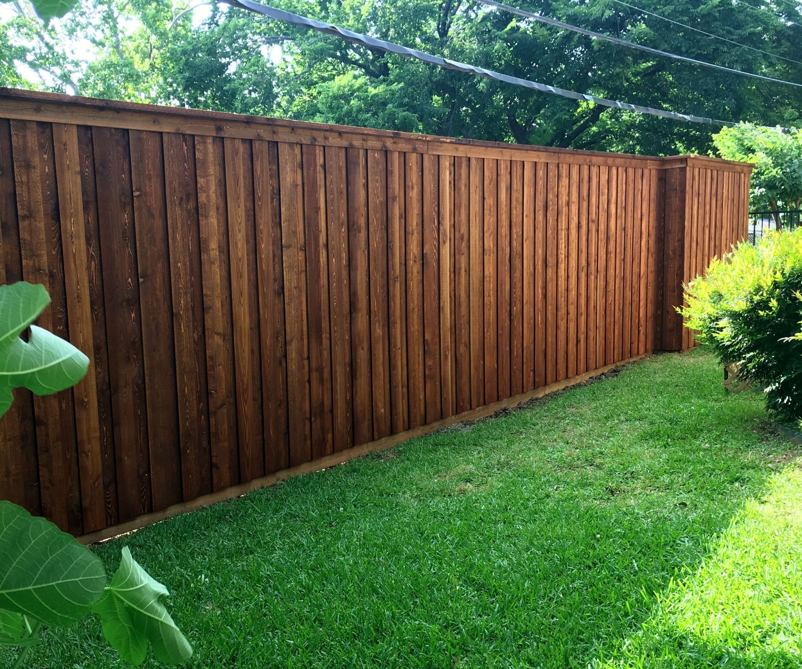 Freshly stained wooden privacy fence in a suburban Texas backyard