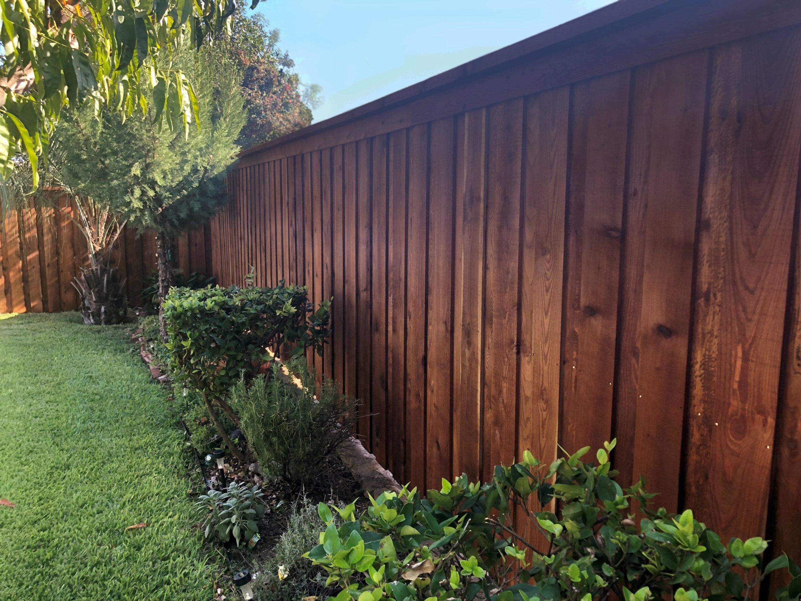 vertical wooden fence, trimmed grass, and lush greenery including shrubs and a small tree